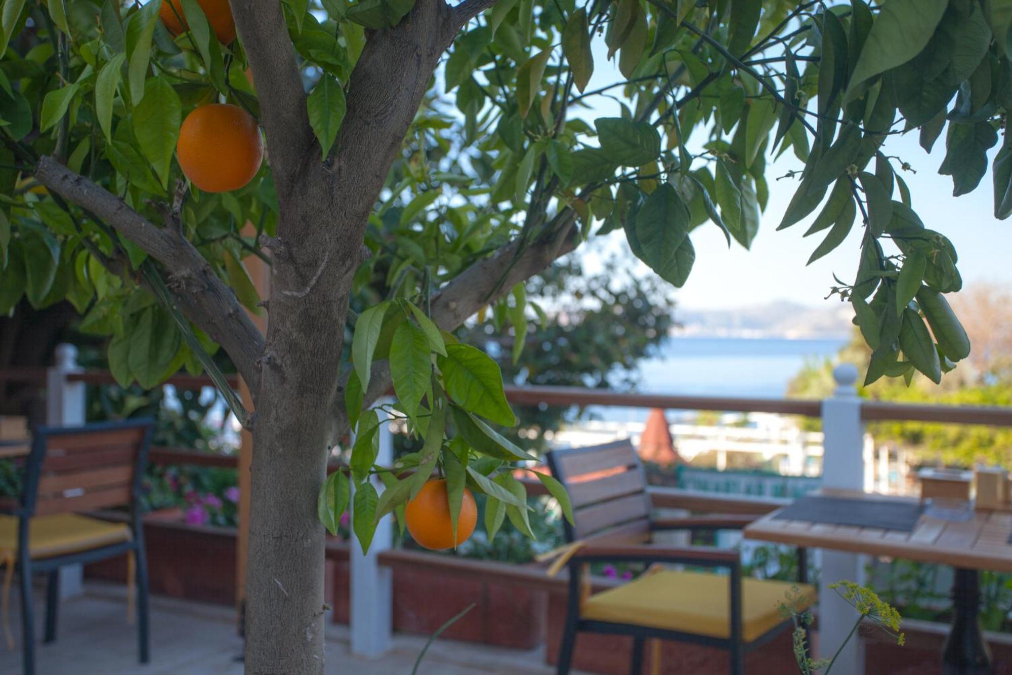 Hotel Ferah Kaş Exteriör bild